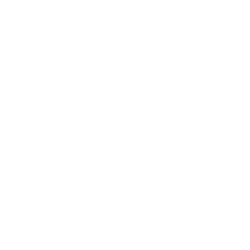 Segway Logo – Transparente Markenkennzeichnung